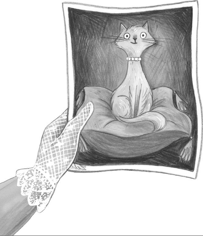 Иллюстрация к книге — Таинственная фотография [i_009.jpg]