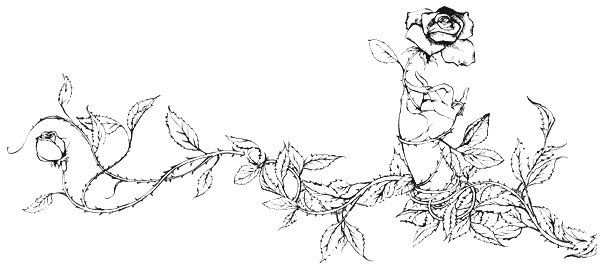 Иллюстрация к книге — Элиза в сердце лабиринта [i_022.jpg]