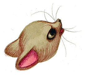 Иллюстрация к книге — Шерлок Кот. Тайна пропавших мышей [i_022.jpg]