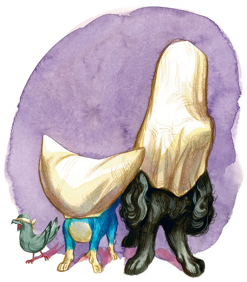 Иллюстрация к книге — Шерлок Кот. Усатые контрабандисты [i_016.jpg]