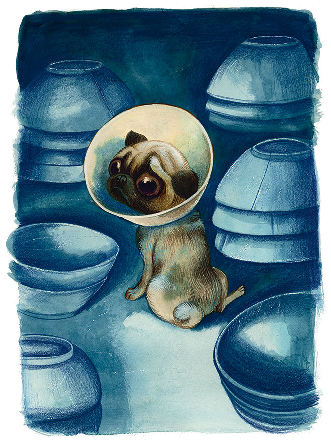 Иллюстрация к книге — Шерлок Кот. Усатые контрабандисты [i_019.jpg]