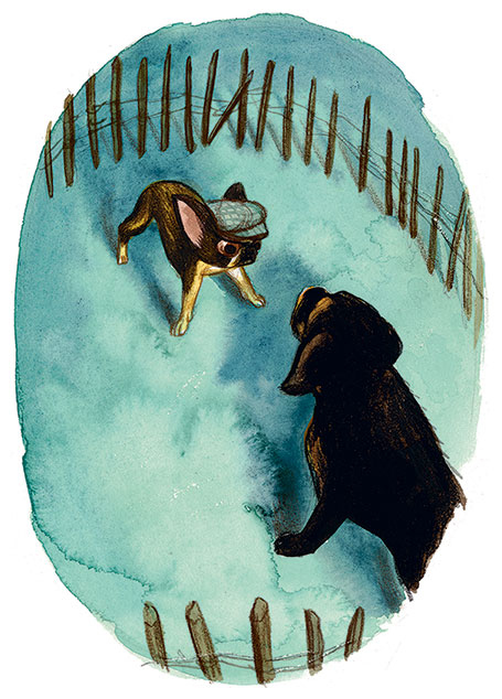 Иллюстрация к книге — Шерлок Кот. Усатые контрабандисты [i_029.jpg]