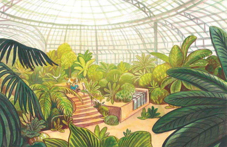 Иллюстрация к книге — Шерлок Кот. Похищенное колье [i_024.jpg]