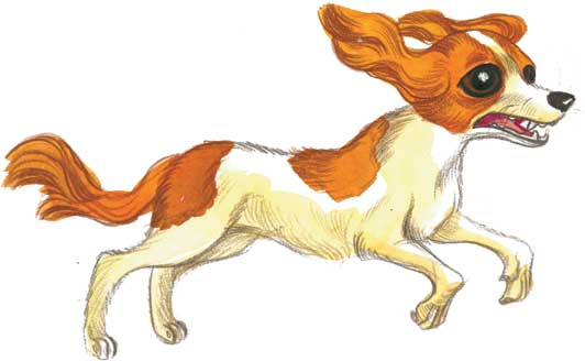 Иллюстрация к книге — Шерлок Кот. Похищенное колье [i_030.jpg]