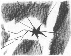 Иллюстрация к книге — Нынче все наоборот [pic_03.jpg]