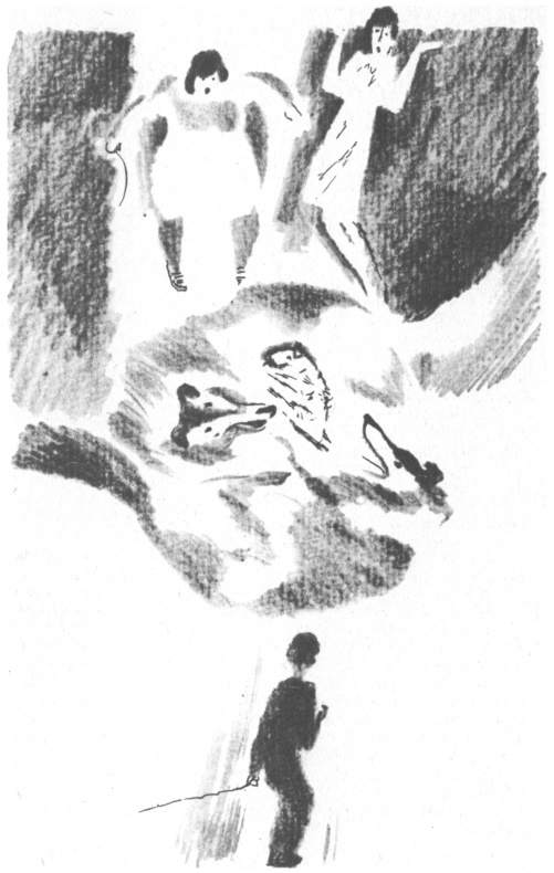 Иллюстрация к книге — Нынче все наоборот [pic_16.jpg]