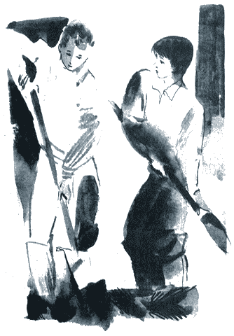 Иллюстрация к книге — Витька Мураш - победитель всех [i_016.jpg]