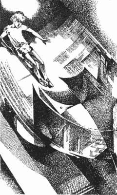 Иллюстрация к книге — Крик петуха [i_001.jpg]