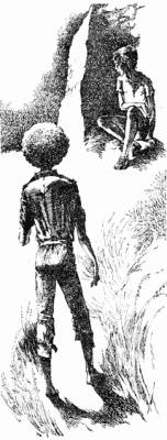 Иллюстрация к книге — Крик петуха [i_014.jpg]