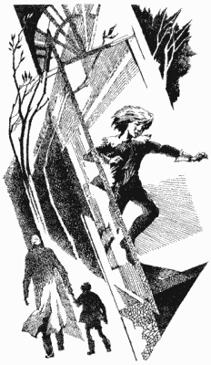 Иллюстрация к книге — Белый шарик Матроса Вильсона [pic_13.jpg]