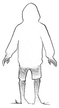 Иллюстрация к книге — Парк призраков [i_013.jpg]