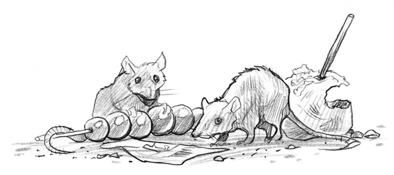 Иллюстрация к книге — Парк призраков [i_025.jpg]