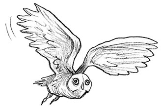 Иллюстрация к книге — Парк призраков [i_056.jpg]