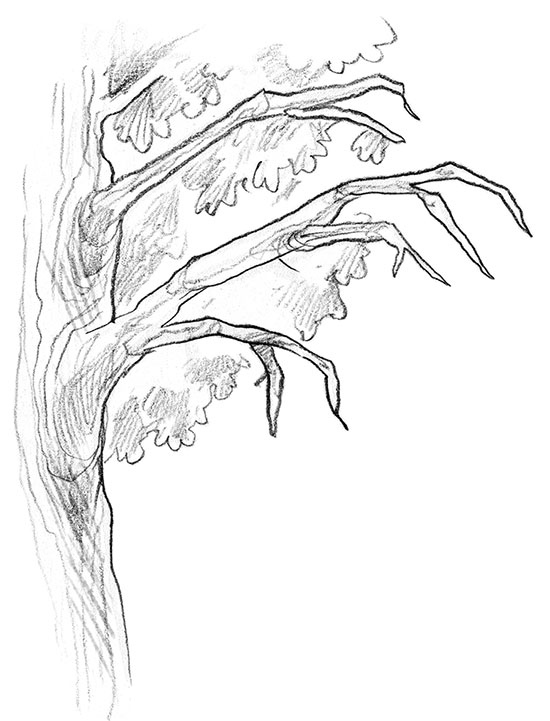 Иллюстрация к книге — Парк призраков [i_058.jpg]