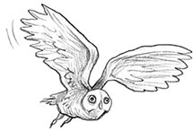 Иллюстрация к книге — Парк призраков [i_068.jpg]