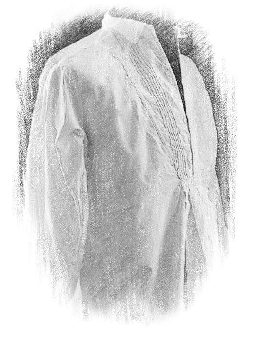 Иллюстрация к книге — Гимназистка. Под тенью белой лисы [_b5a61e67c10c40938a7dde4491ccabe5.jpg]