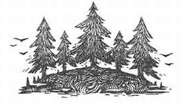 Иллюстрация к книге — Ноктамбула. Пробуждение [i_003.jpg]