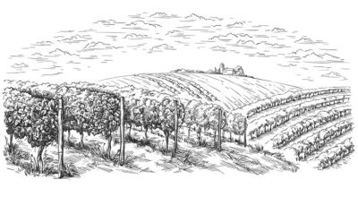 Иллюстрация к книге — Убийство со вкусом кьянти [i_017.jpg]