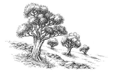 Иллюстрация к книге — Убийство со вкусом кьянти [i_021.jpg]