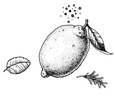 Иллюстрация к книге — Убийство со вкусом кьянти [i_033.jpg]