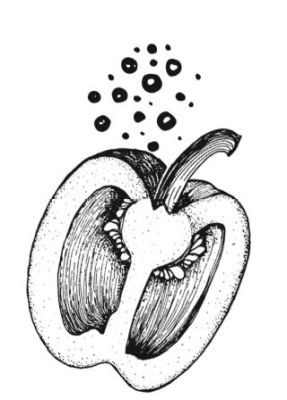 Иллюстрация к книге — Убийство со вкусом кьянти [i_034.jpg]