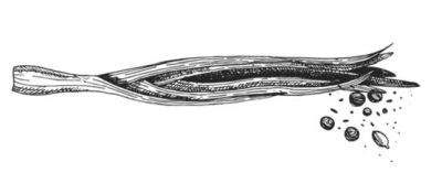 Иллюстрация к книге — Убийство со вкусом кьянти [i_039.jpg]