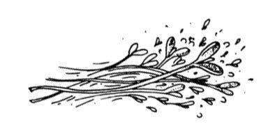 Иллюстрация к книге — Убийство со вкусом кьянти [i_047.jpg]