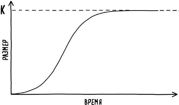 Иллюстрация к книге — Математика жизни и смерти. 7 математических принципов, формирующих нашу жизнь [i_003.jpg]