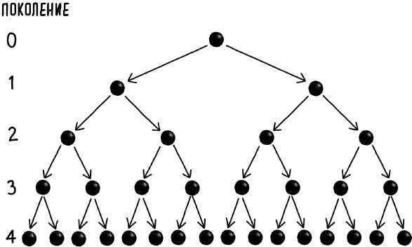 Иллюстрация к книге — Математика жизни и смерти. 7 математических принципов, формирующих нашу жизнь [i_034.jpg]