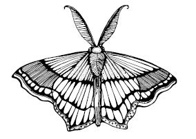 Иллюстрация к книге — Мир легенд о свирепых монстрах [i_027.jpg]