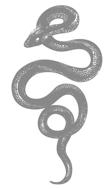 Иллюстрация к книге — Королевство душ [i_001.jpg]