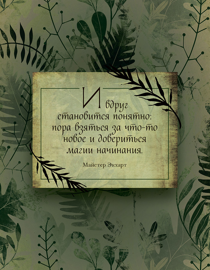 Иллюстрация к книге — Зеленая магия. Сезонные ритуалы, зельетворчество, алхимия трав [i_015.jpg]