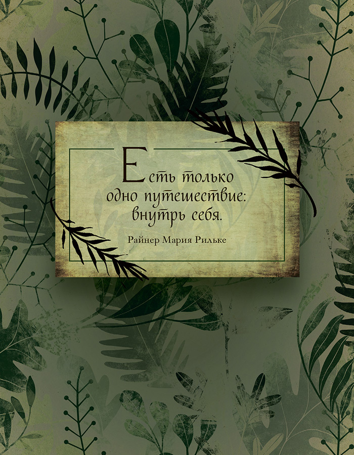 Иллюстрация к книге — Зеленая магия. Сезонные ритуалы, зельетворчество, алхимия трав [i_019.jpg]