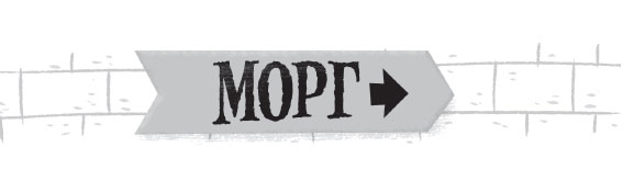 Иллюстрация к книге — Роковая тетрадь. Восстание надувных верзил [i_035.jpg]