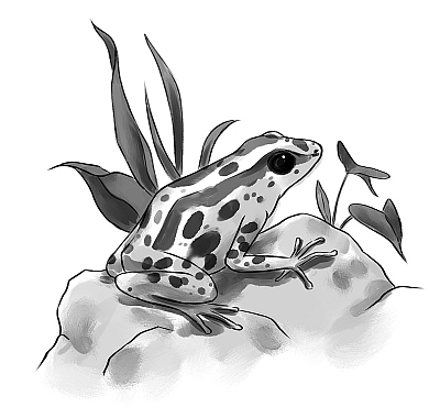 Иллюстрация к книге — Первое испытание Ноэля [i_001.jpg]