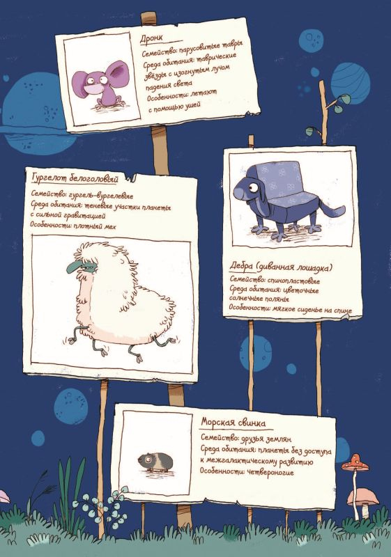 Иллюстрация к книге — Класс отправляется в полёт! [i_002.jpg]