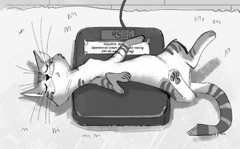 Иллюстрация к книге — Мурзозавр и Овирапторы. Гость из будущего [i_006.jpg]