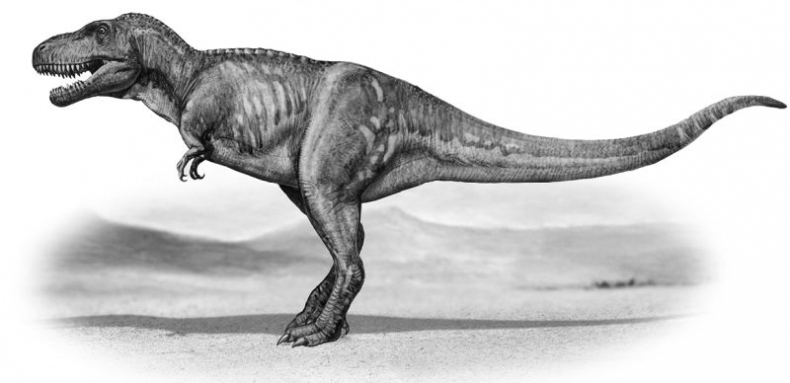 Иллюстрация к книге — Мурзозавр и Овирапторы. Гость из будущего [i_011.jpg]