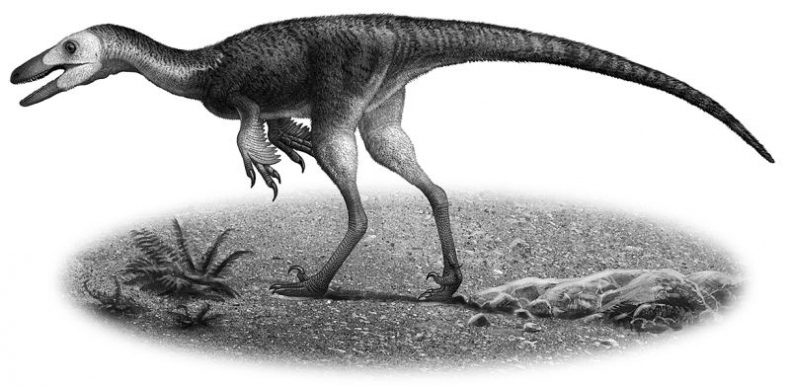 Иллюстрация к книге — Мурзозавр и Овирапторы. Гость из будущего [i_018.jpg]