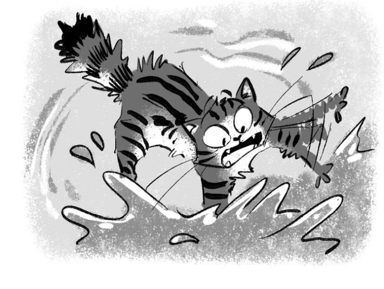 Иллюстрация к книге — Мурзозавр и Овирапторы. Гость из будущего [i_021.jpg]