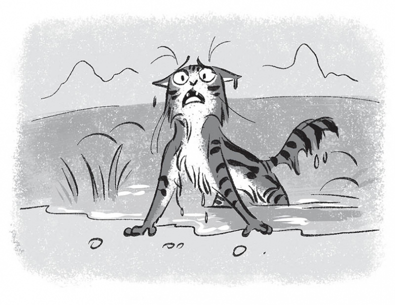 Иллюстрация к книге — Мурзозавр и Овирапторы. Гость из будущего [i_023.jpg]