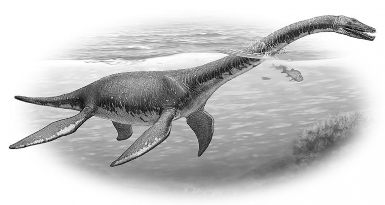 Иллюстрация к книге — Мурзозавр и Овирапторы. Гость из будущего [i_024.jpg]