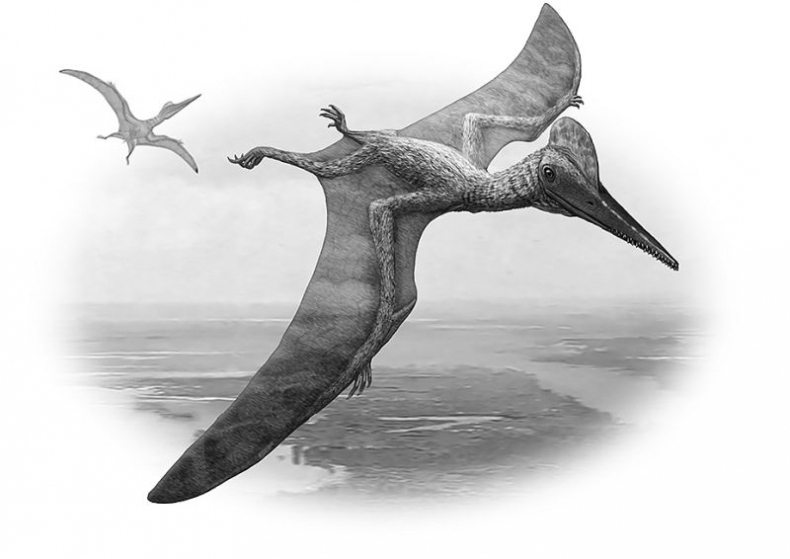 Иллюстрация к книге — Мурзозавр и Овирапторы. Гость из будущего [i_025.jpg]