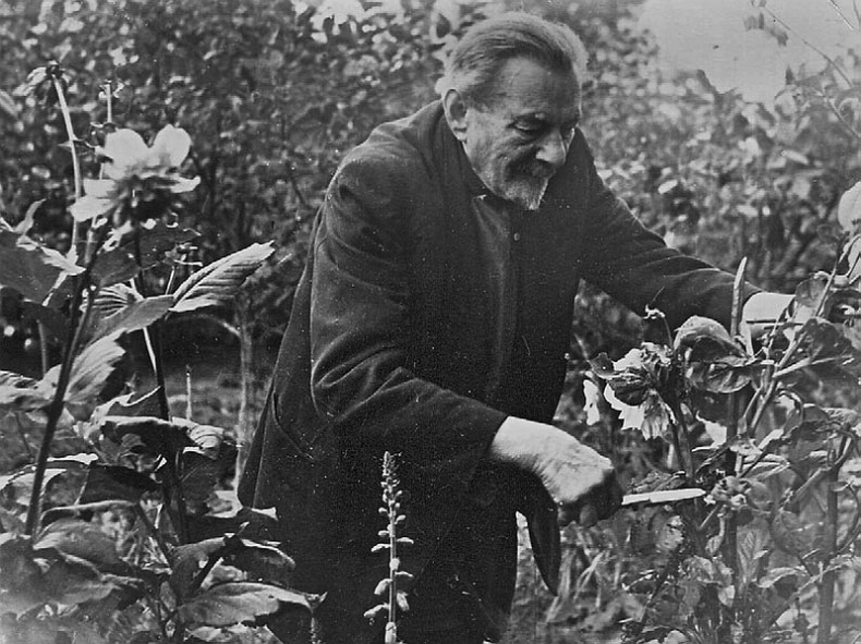 Иллюстрация к книге — Записки и воспоминания о пройденном жизненном пути [i_047.jpg]