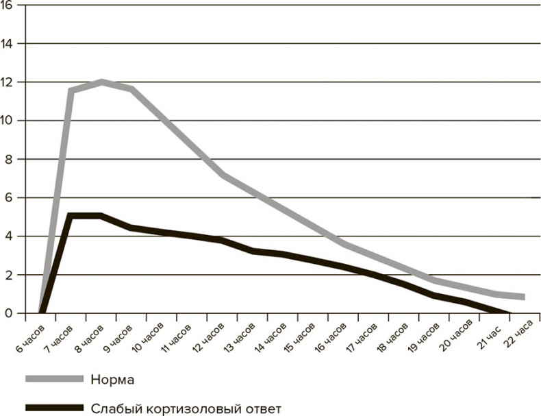 Иллюстрация к книге — Молодость навсегда. Как замедлить процессы старения и сохранить здоровье [i_019.jpg]
