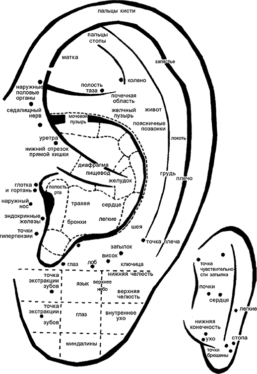 Иллюстрация к книге — Целебная натуротерапия [i_001.jpg]