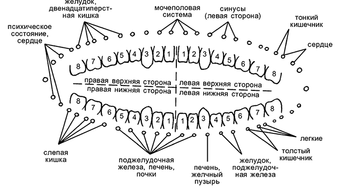 Иллюстрация к книге — Целебная натуротерапия [i_003.jpg]