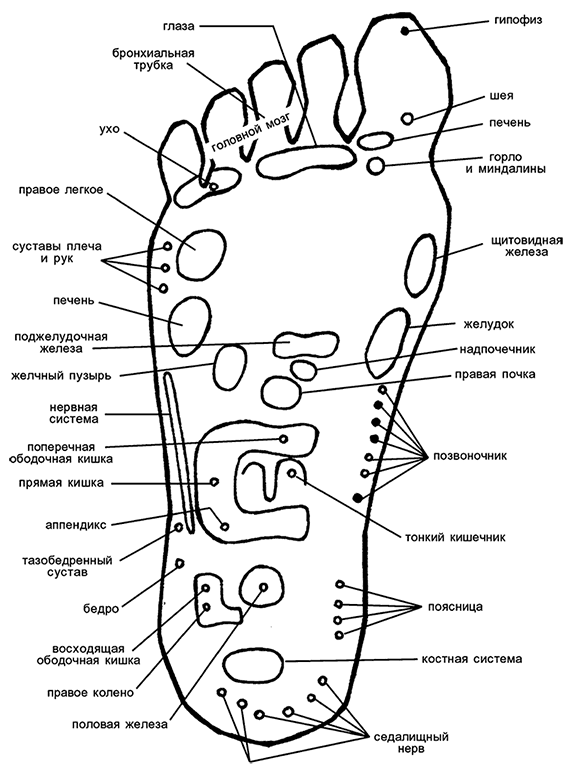 Иллюстрация к книге — Целебная натуротерапия [i_004.jpg]