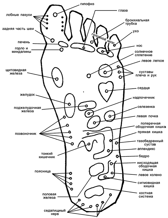 Иллюстрация к книге — Целебная натуротерапия [i_005.jpg]