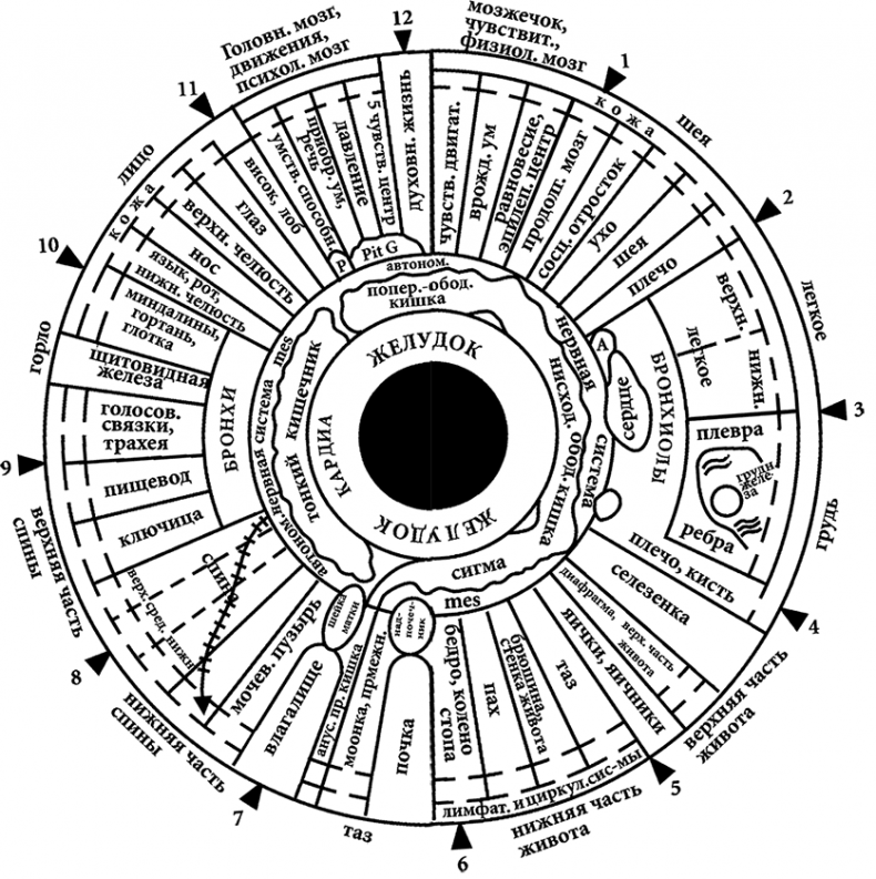 Иллюстрация к книге — Целебная натуротерапия [i_007.jpg]